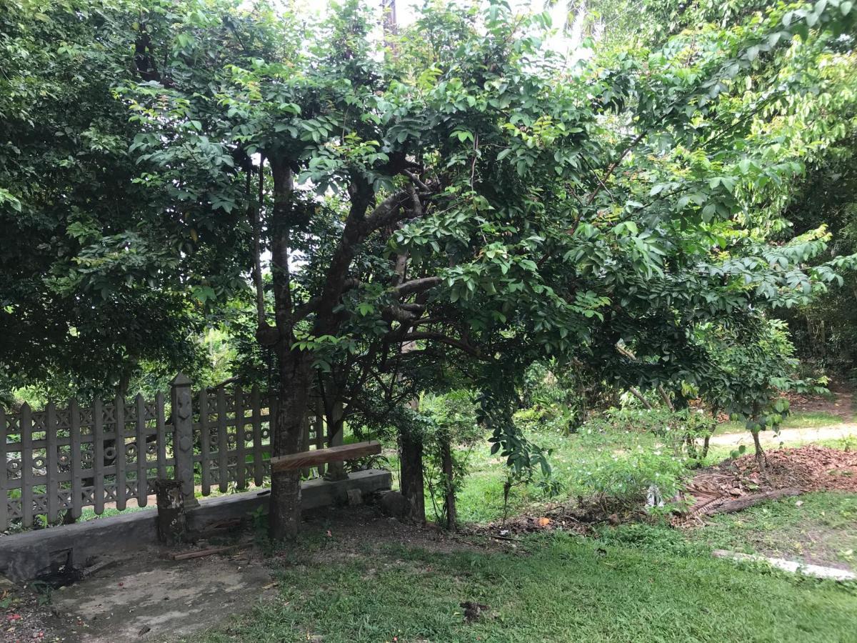 Eco Willow - Kathaluwa Atadahewatugoda 外观 照片